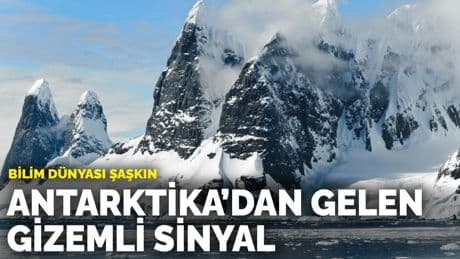 Antarktika’dan gelen gizemli sinyal: Bilim dünyası şaşkın