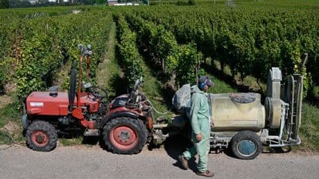 Pesticides : le gouvernement accusé de « bloquer » une étude révélant une surimprégnation des enfants près des vignes