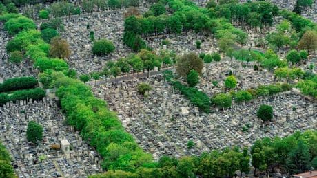 Nos morts préférés sont au cimetière Montparnasse