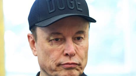 Elon Musk said DOGE 'became the whipping boy' for all government problems