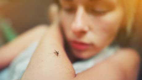 « Des douleurs atroces aux articulations et l’impression de m’être fait tabasser » : sauriez-vous reconnaître le chikungunya ?