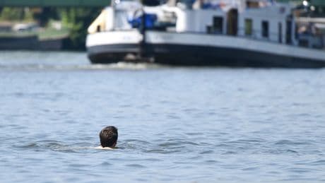 Keime im Wasser: Neckar besteht zur Hälfte aus Abwasser