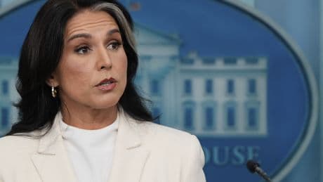 There’s more to the anti-Trump Russiagate plot — and Tulsi Gabbard will unravel it