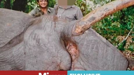 Brit-born hunter 'normalised killing animals for fun' with bloodthirsty brags