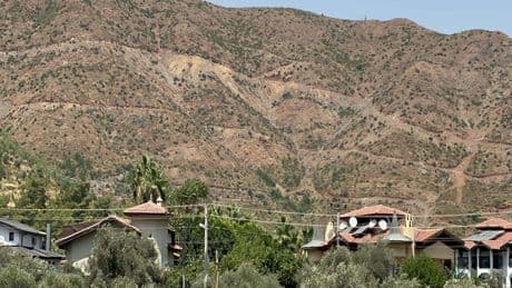Marmaris'te yanan alanlar yeniden yeşillendi