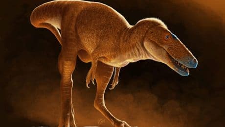 Neue Dinosaurier-Art identifiziert - Khankhuuluu ist der kleine Bruder von T-Rex