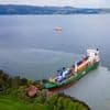 On-duty navigator was allegedly asleep when cargo ship ran aground in Norway and nearly hit a house