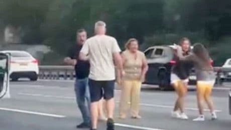 'Road rage brawl' breaks out on motorway as woman drags motorist out of car by hair