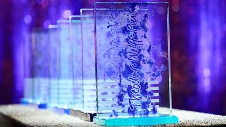 Theodor-Wolff-Preis vergeben – WAMS-Titelthema war nominiert