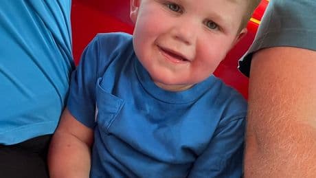 Georgia toddler left fighting for life after being stung by yellow jackets over 150 times and suffering organ failure