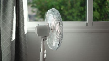 Fan Death: Können Ventilatoren im Schlafzimmer wirklich tödlich sein?