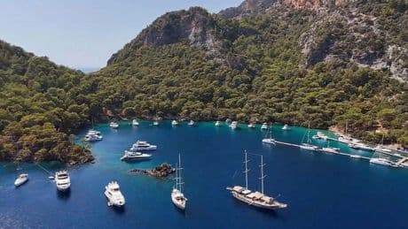 Fethiye'de kaplumbağalar için müzik yasağı