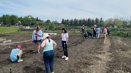 Athletes, students tend to community garden in support of Regina Foodbank