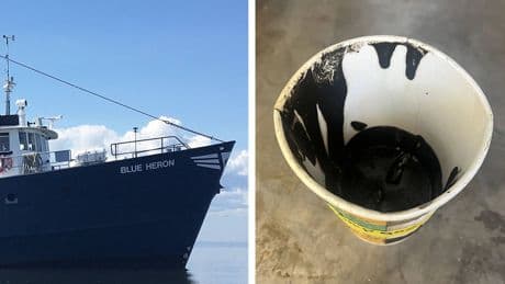 Analizan una sustancia viscosa que creció en un barco y encuentran formas de vida desconocidas