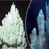 Ancient 'lost city' found at bottom of the Atlantic Ocean holds clue to origins of life