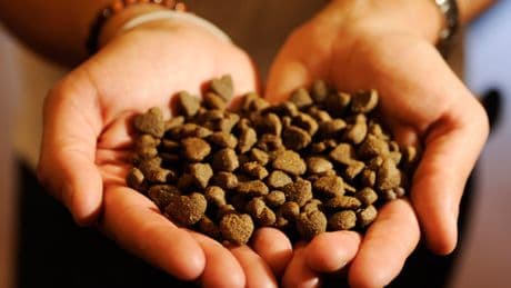 27 sickened by salmonella in outbreak linked to dog food and treats