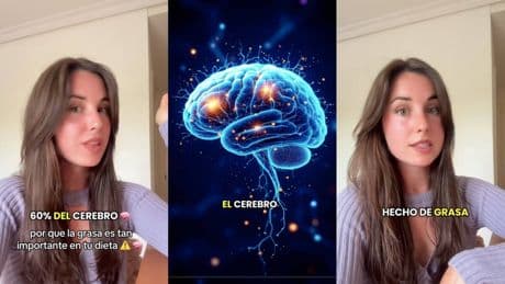 Andrea, nutricionista: "El cerebro está principalmente hecho de grasa y una gran parte está compuesta de ácidos grasos esenciales"
