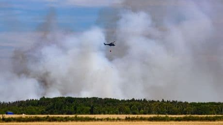 Waldbrand Gohrischheide: Feuer laut Experte wohl von Menschen verursacht