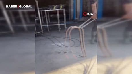 Bingöl'de tamirciye giren yılan paniğe neden oldu