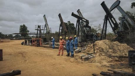 RDC: une coalition d'ONG dénonce l'ouverture de 52 blocs pétroliers dans le bassin du Congo