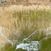 Ancient warning mysteriously appears on Hawaiian beach mere days before catastrophic megaquake