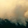 As Canada wildfires choke US with smoke, Republicans demand action. But not on climate change