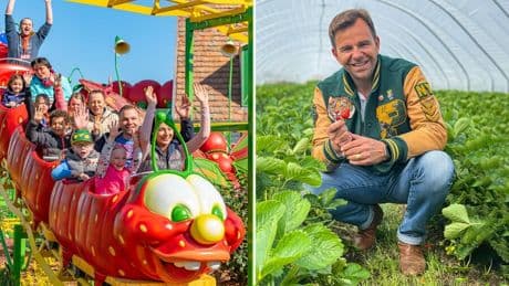 Familienunternehmen: „Erdbeeren dürfen kein Luxusgut werden“ – Die großen Pläne von Karls Erlebnisdörfern