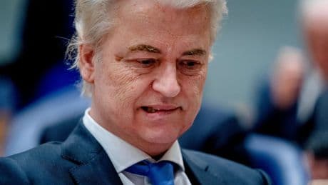 Heks! Bedrijfspoedel! Robbert Wigt schreef een boek over de woorden van Wilders