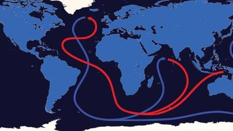Gulf Stream 'on verge of collapsing' and could send UK temperatures to -30C