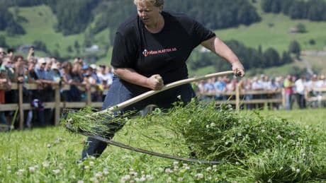 Handmähen: Bis zum letzten Büschel
