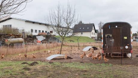 Würzburg: Urteil gekippt – Sabine getötet und in Güllegrube geworfen
