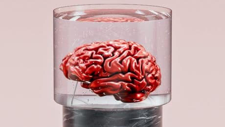 Le cas fascinant d'une adolescente atteinte d'hyperthymésie: elle se souvient de toute sa vie en détail