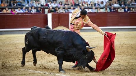 La dimensión de Fortes no cabe por la Puerta Grande de Las Ventas
