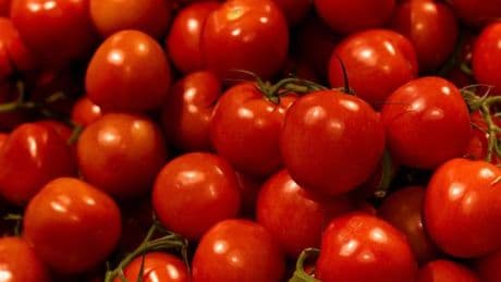 Tomatoes urgently recalled over risk of 'serious adverse health consequences or death'