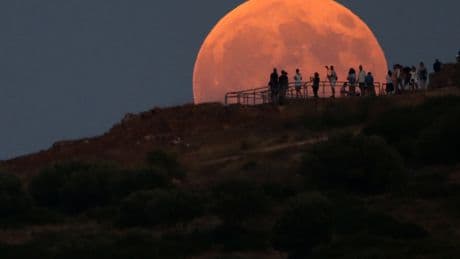 La Luna de las Flores brillará este lunes desde Escorpio: el plenilunio de mayo ya tiene hora