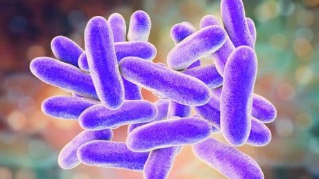 Une épidémie de légionellose provoque la mort de quatre personnes à New York