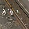 Tier-Familie auf Reisen - Im Enten-Marsch durch die U-Bahn