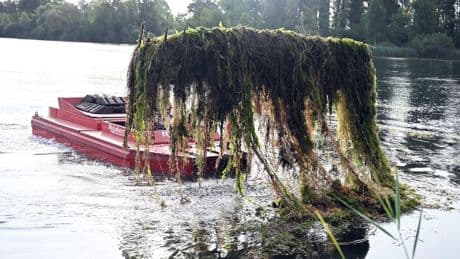 Mähboot unterwegs: So wird ein Baggersee badetauglich