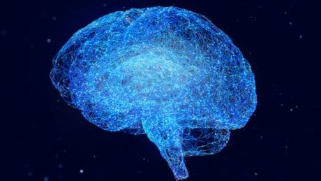 Your Brain Reveals a Lot About Your Age