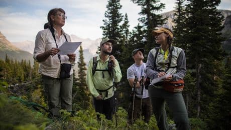 Your favorite national park is struggling to survive