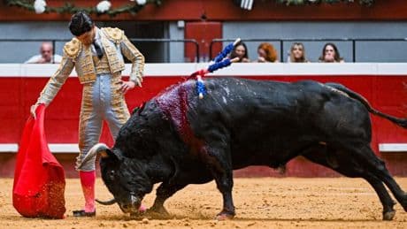 Los desfondados 'vellosinos' y los fallos a espadas deslucen el arranque de San Sebastián