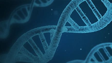 Scientists aim to create first artificial human DNA – the risks and benefits