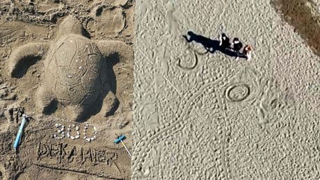 İztuzu Plajı'nda caretta yuva sayısı 300'e ulaştı