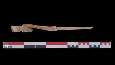 Discovery of three ancient Egyptian tombs uncover secrets no one could have imagined