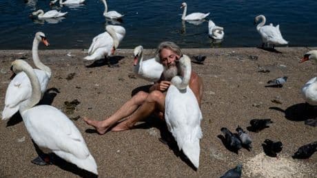 ‘Swan Whisperer’ banned from Hyde Park after residents objected to him kissing the birds