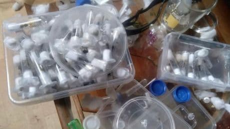"Pas des braconniers typiques": 4 personnes, dont deux Belges, condamnées pour trafic de fourmis au Kenya