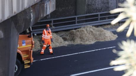 M8 traffic jam after lorry sheds load of hay on busy carriageway