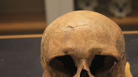 Los esqueletos con heridas violentas y las armas de los ajuares funerarios revelan que los noruegos eran el pueblo vikingo más violento