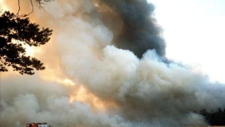 50 Jahre später: Feuerwehr hat aus Waldbrandkatastrophe in Südheide gelernt