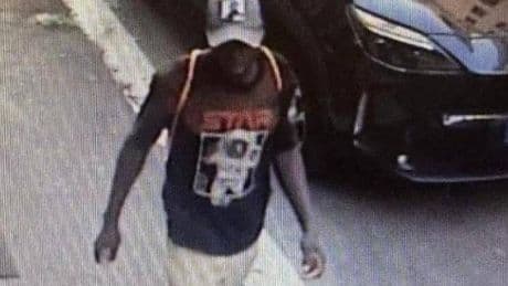 Stupro a Roma, preso l'aggressore: è un 26enne del Gambia. L'uomo ai carabinieri: "Ero drogato"